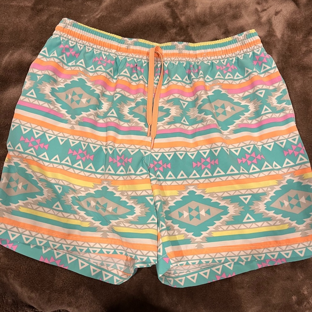 Mens Chubbie Swim Trunks